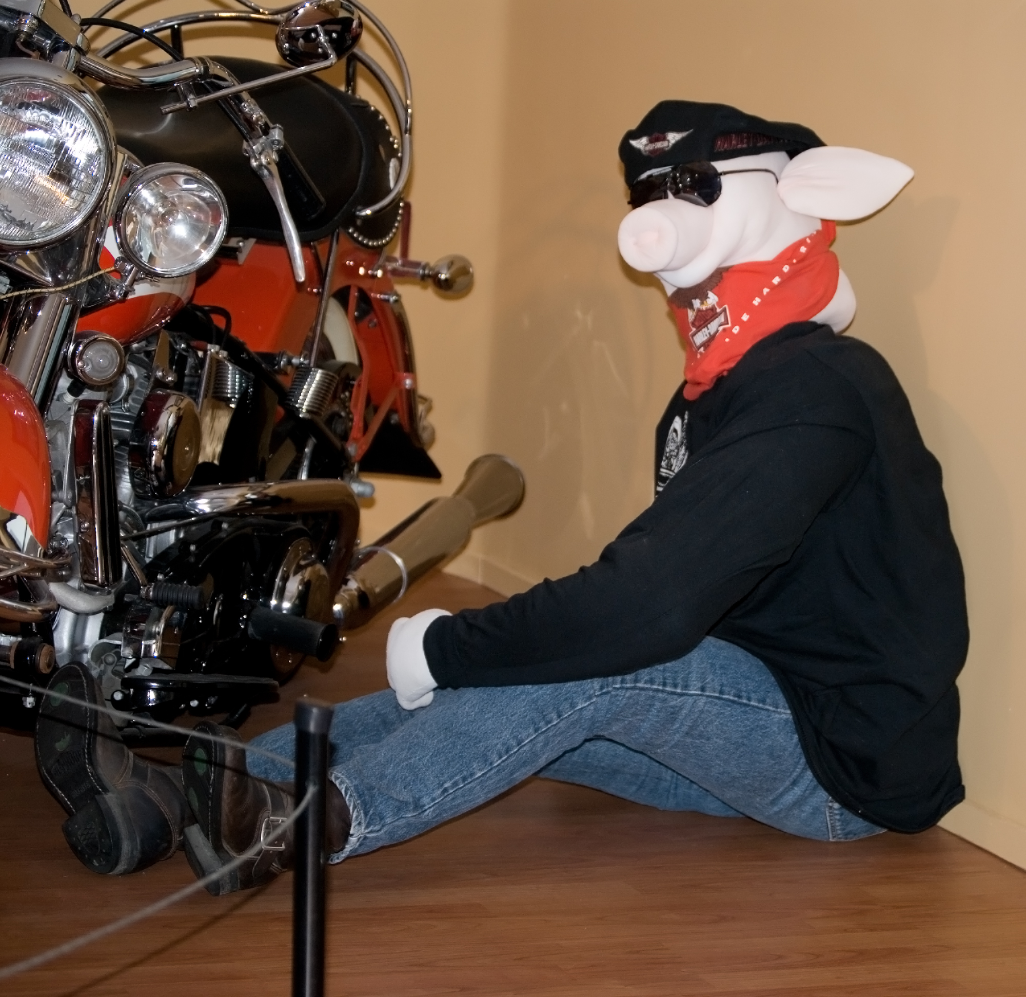 Biker Halloween Costumes at Thunder-Rode Motorcycle Accessories in Kingman, AZ